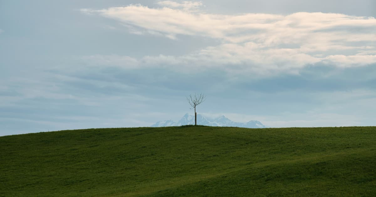 MAX Power Mining Advances Canada's First Natural Hydrogen Drill Program Through Technical Collaboration